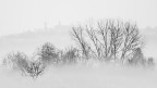 nebbia bassa nebbia bassa