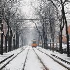 A Milano c'� la neve!!!!