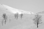 nel bianco nel bianco