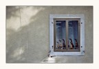 L'attenzione L'attenzione