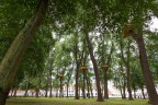 Beguinage Beguinage