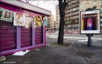 Purple Milan /08.03.18/