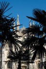 Palme Palme