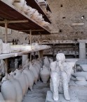 Un tropico a Pompei... Un tropico a Pompei...