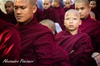 Myanmar Monks Myanmar Monks