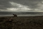 Solitario Solitario