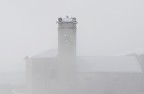 Nebbia Nebbia