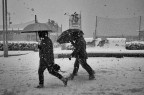 Nevica .... Nevica ....