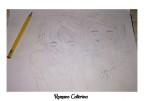 Disegno. Disegno.