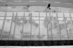 IMG_5529-1 IMG_5529-1