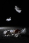 Eggstory Eggstory