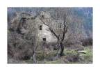 C'era una volta in un bosco un giovane daino.... C'era una volta in un bosco un giovane daino....