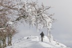 ST_DSC2548 ST_DSC2548