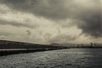 Porto napoli x