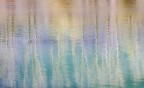 Impressioni Primaverili Impressioni Primaverili