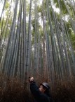 Arashiyama Arashiyama
