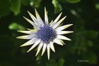 La primavera è arrivata La primavera è arrivata