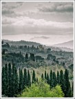 collina