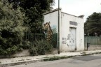 Trepuzzi Trepuzzi