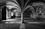Abbazia di San Galgano Abbazia di San Galgano