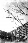 Grey world Grey world