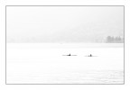 canoe canoe
