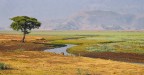 L'Africa che non ti aspetti L'Africa che non ti aspetti