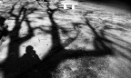 Presenza immaginaria. Presenza immaginaria.