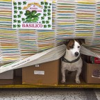 in attesa di clienti