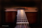 Chords Chords