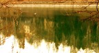 Riflessi. Riflessi.