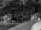 a spasso col nonno a spasso col nonno