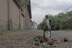 Amore di strada Amore di strada