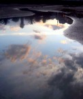 riflessione verticale di una pozzanghera riflessione verticale di una pozzanghera