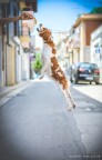 In volo In volo