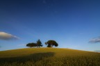 Campagna romana Campagna romana