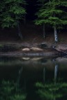 Parallel worlds Parallel worlds