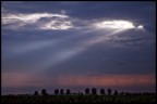 pioggia e luce.. pioggia e luce..