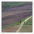 Tra le vie del Chianti