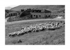 Castelluccio n. 1 Castelluccio n. 1
