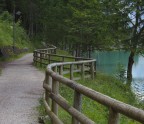 Biscia di lago