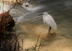 sul fiume sul fiume