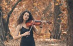 Lady violin Lady violin
