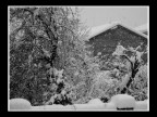 Nevica Nevica