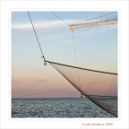 Canon 6D 24-105 F4 L
1/320 f 5.6
Iso 100 focale 50