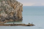 Pescatori Pescatori