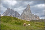 Cimon della pala. Cimon della pala.