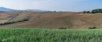 Colline Toscane Colline Toscane