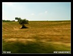inthecar inthecar