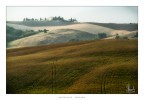 Mattinate Toscane